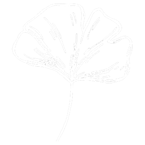 Ginkgo — Parafarmacia Viale Umberto